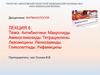 Антибиотики: Макролиды. Аминогликозиды. Тетрациклины. Левомицины. Линкозамиды
