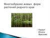 Многообразие живых форм растений