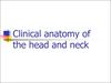 Clinical anatomy of the head and neck