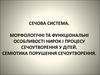 Сечова система. Морфологічні та функціональні особливості нирок і процесу сечоутворення у дітей
