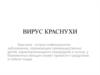 Вирус краснухи