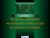 Язык современных молодёжных субкультур: осторожно,гопники!