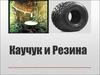 Каучук и резина. История открытия каучука