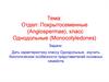 Отдел: Покрытосеменные (Angiospermae), класс Однодольные (Monocotyledones)