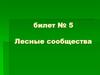 Лесные сообщества