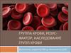 Группа крови, резус-фактор, наследование групп крови