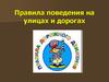 Правила поведения на улицах и дорогах