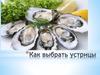 Как выбрать устрицы