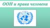 ООН и права человека