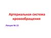 Артериальная система кровообращения. Лекция № 15