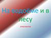 Опасности на водоёме и в лесу