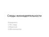 Следы жизнедеятельности. Тип следа. Животное. Обстоятельства