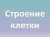 Строение клетки