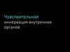 Чувствительная иннервация внутренних органов