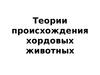 Теории происхождения хордовых животных