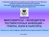 Миксовирусы – возбудители респираторных инфекций – гриппа, кори и паротита