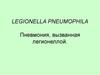 Legionella pneumophila. Пневмония, вызванная легионеллой