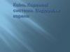 Корінь. Кореневі системи. Видозміни кореня