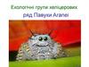 Екологічні групи хеліцерових. Ряд павуки Аranei