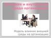 Модель влияния внешней среды на организацию