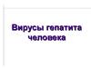 Вирусы гепатита человека