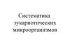 Систематика эукариотических микроорганизмов