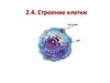 Строение клетки