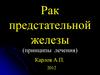 Рак предстательной железы (принципы лечения)