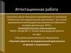 Аттестационная работа. Программа дополнительного образования «Практика проектно-исследовательской деятельности»