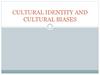 Cultural identity and cultural biases