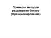Примеры методов разделения белков (фракционирования)