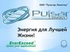ООО “Пульсар Лимитед”. Один из ведущих поставщиков промышленных аккумуляторов в Украине
