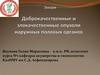Доброкачественные и злокачественные опухоли наружных половых органов