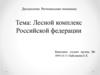 Лесной комплекс Российской Федерации