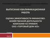 Оценка эффективности финансово-хозяйственной деятельности компании на примере ООО «Торговый дом аез»