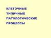 Клеточные типичные патологические процессы