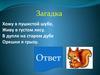 Загадки