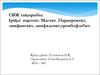 Іріңді паротит. Мастит. Парапроктит, лимфангаит, лимфаденит,тромбофлебит