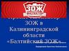 Проект Инспектор ЗОЖ в Калининградской области «Балтийский ЗОЖ»