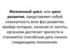 Жизненные циклы растений и животных