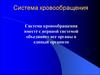 Система кровообращения