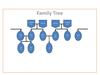 Family Tree