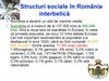 Structuri sociale în România interbelică