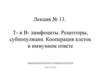 Т- и В- лимфоциты. Рецепторы, субпопуляции. Кооперация клеток в иммунном ответе. (Лекция 13)