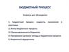 Бюджетный процесс