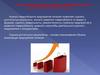 Анализ товарооборота и товарных запасов предприятий торговли и общественного питания