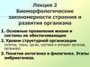 Лекция 2. Биоморфологические закономерности строения и развития организма