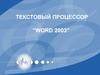 Текстовый процессор Word 2003. (Тема 1.1)