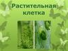 Растительная клетка