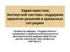 Характеристика Экспертной системы поддержки принятия решений в кризисных ситуациях